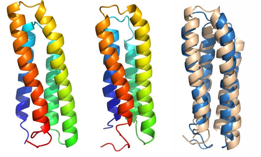 PNAS:细胞膜蛋白质放弃自己的秘密 