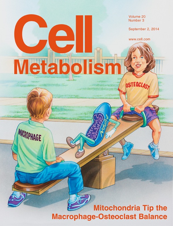 2014年9月2日Cell me<em></em>tabolism期刊封面