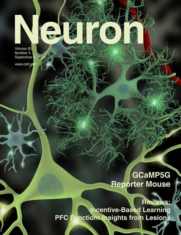 2014年9月3日Neuron期刊封面