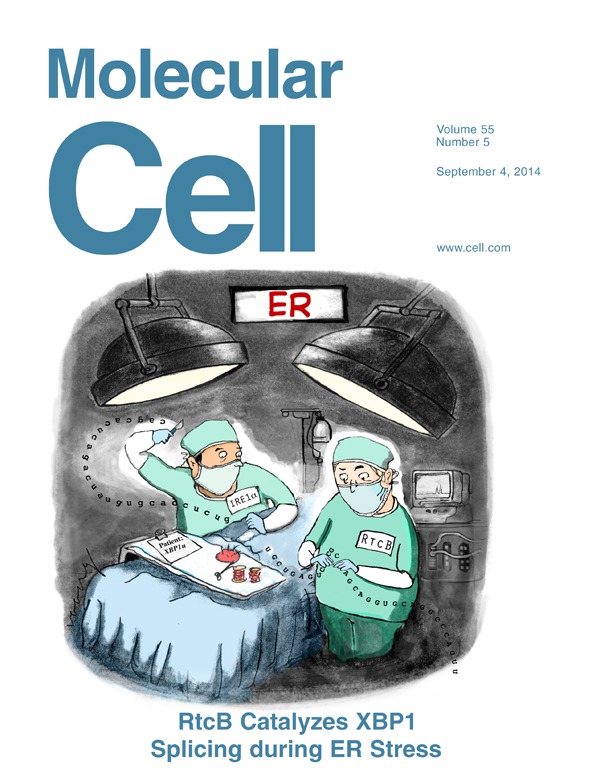 2014年9月4日Molecular Cell期刊封面