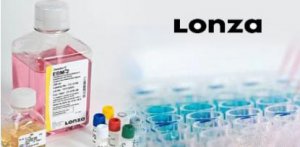 EGM-2培养基-LONZA细胞培养基